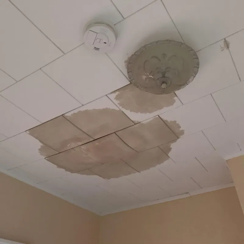 Ceiling Water Damage Repair in Rowan County, NC