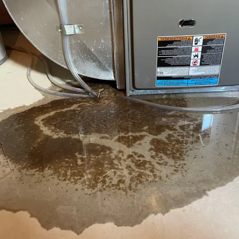 Pipe Burst and Leak Restoration in Rowan County, NC