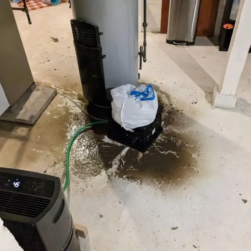 Sewage Backup Cleanup Service in Rowan County, NC